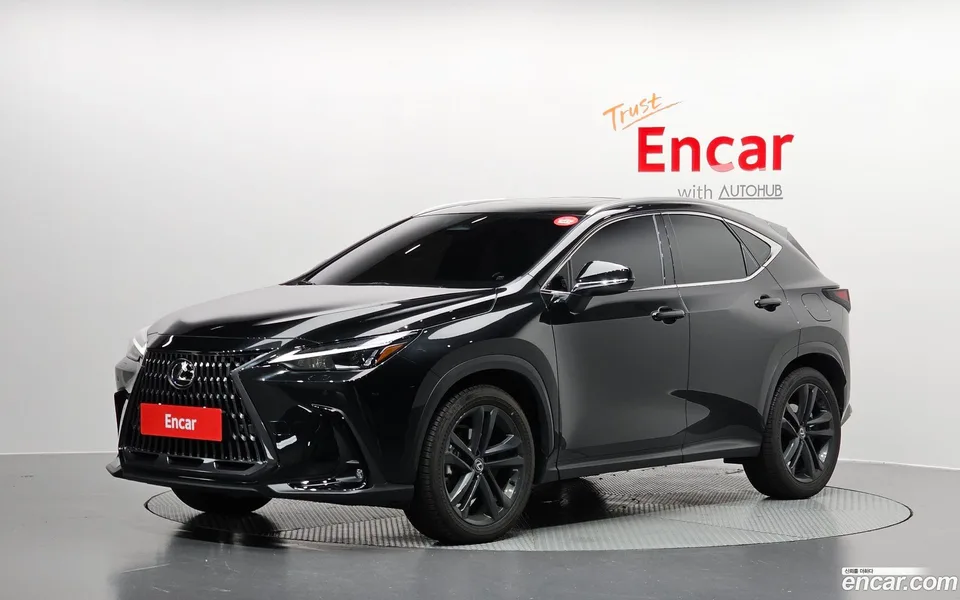 Lexus NX 350h 2024 — фото 1, купить с доставкой в Москву