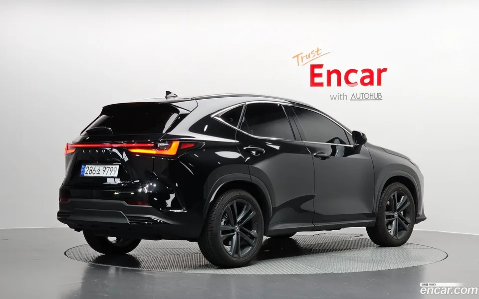 Lexus NX 350h 2024 — миниатюра 2