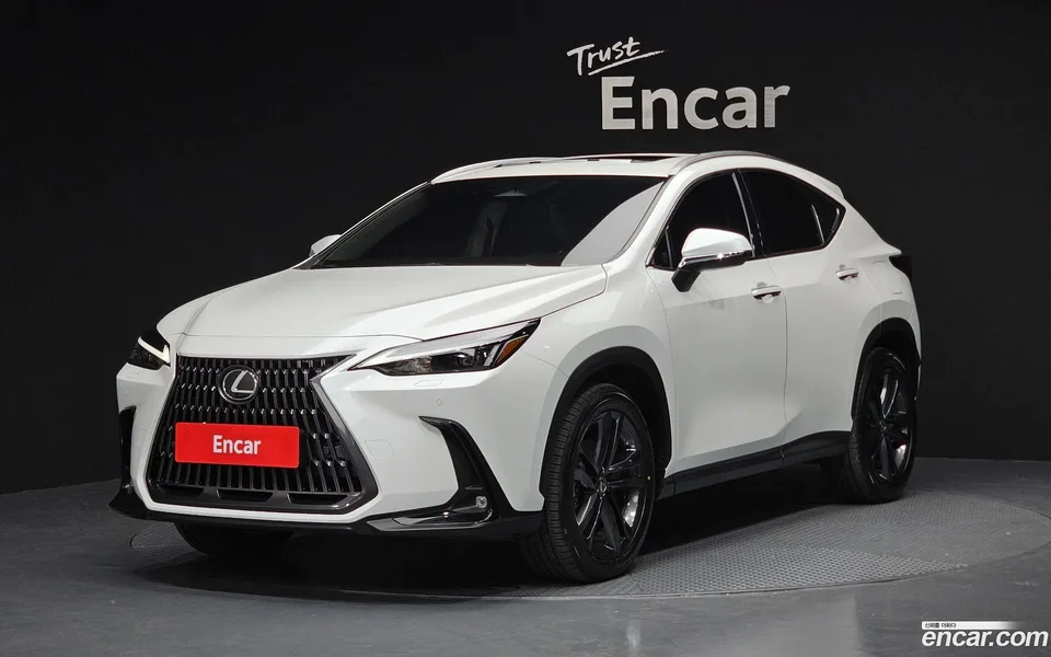 Lexus NX 350h 2024 — фото 1, купить с доставкой в Москву
