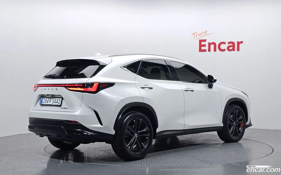 Lexus NX 350h 2023 — миниатюра 2