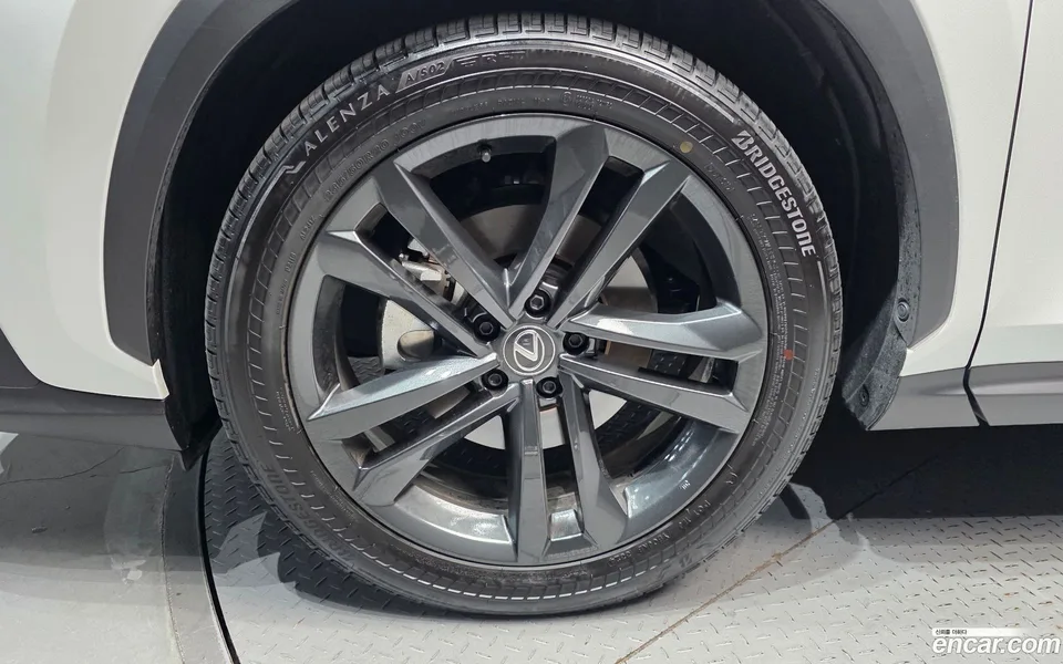 Lexus NX 350h 2024 — миниатюра 5