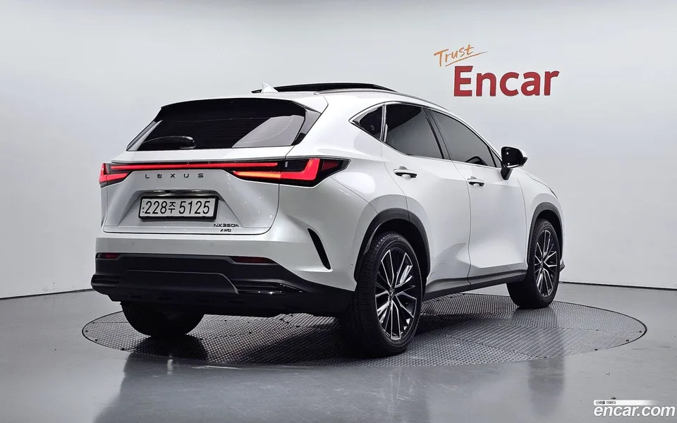 Lexus NX 350h 2024 — миниатюра 2