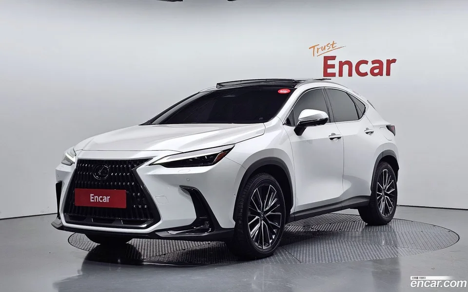 Lexus NX 350h 2024 — фото 1, купить с доставкой в Москву