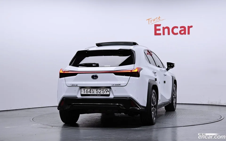 Lexus UX 250h 2.0 F-Sport 2WD 2022 — миниатюра 4