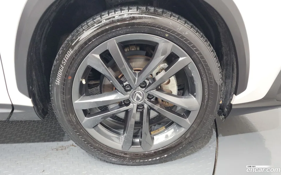 Lexus NX 350h 2022 — миниатюра 5