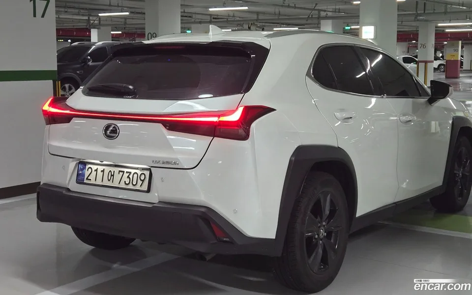 Lexus UX 250h 2.0 2WD 2023 — миниатюра 2