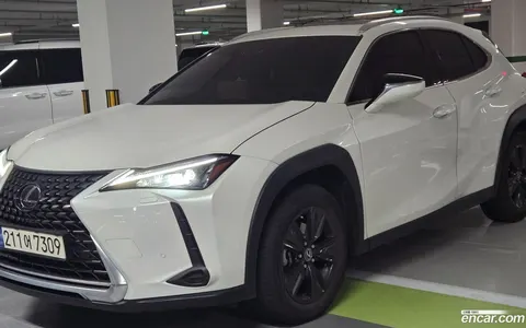 Lexus UX 250h 2023 buy in Moscow