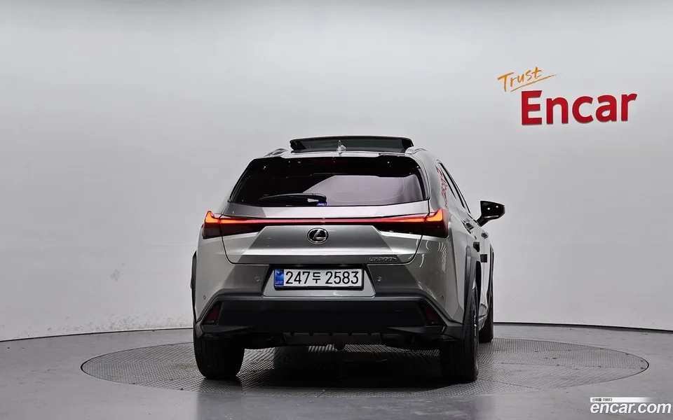 Lexus UX 300h 2.0 2WD 2025 — миниатюра 4
