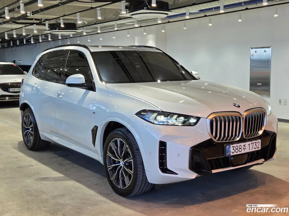 BMW X5 xDrive 30d xLine 2024 — миниатюра 3