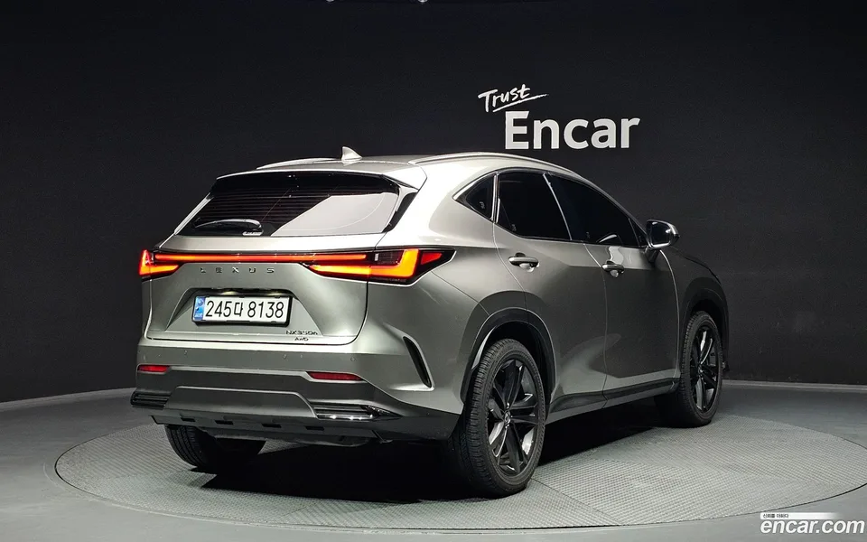 Lexus NX 350h 2024 — миниатюра 2