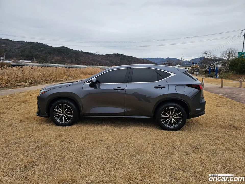 Lexus NX 450h+ 2023 — миниатюра 4