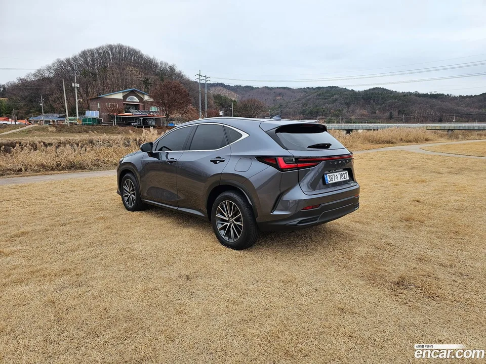 Lexus NX 450h+ 2023 — миниатюра 5