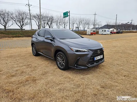 Lexus NX 450h+ 2023 купить в Москве
