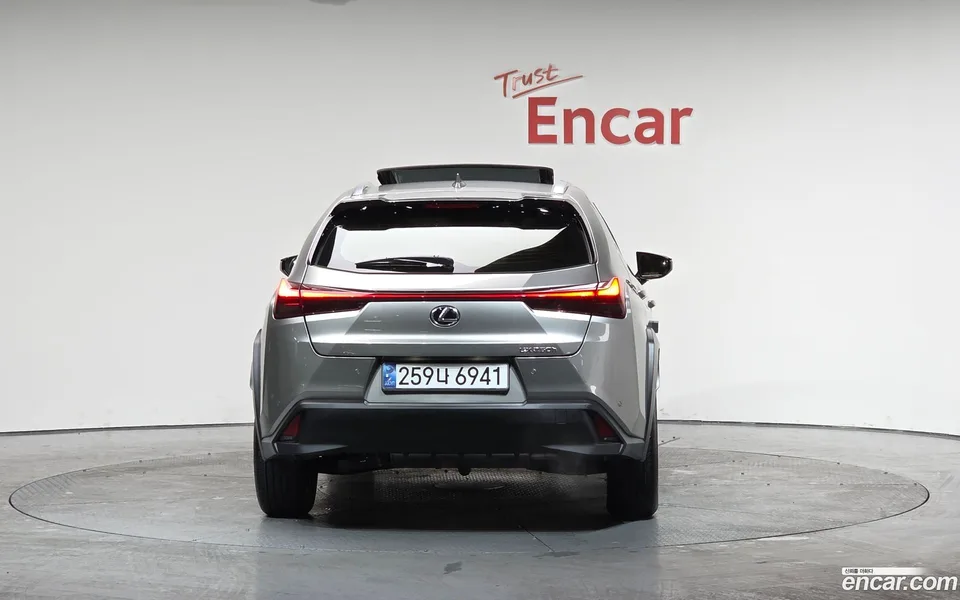 Lexus UX 250h 2.0 2WD 2024 — миниатюра 4