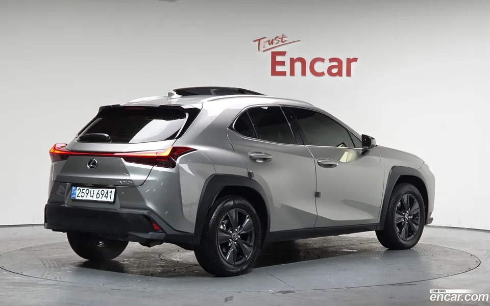Lexus UX 250h 2.0 2WD 2024 — миниатюра 2