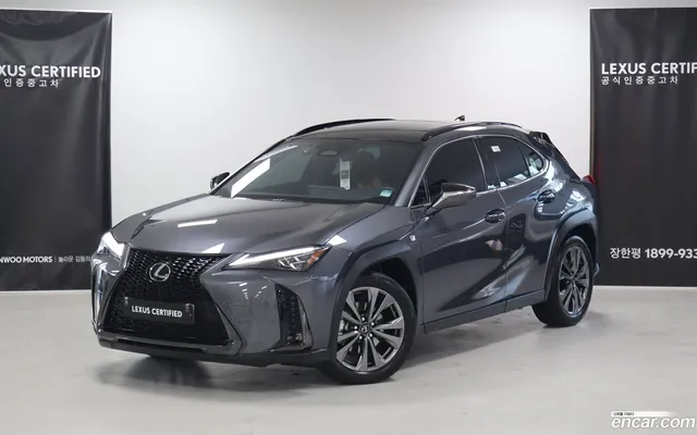 Lexus UX 300h
