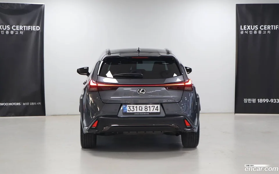 Lexus UX 300h 2.0 F-Sport 2WD 2025 — миниатюра 4