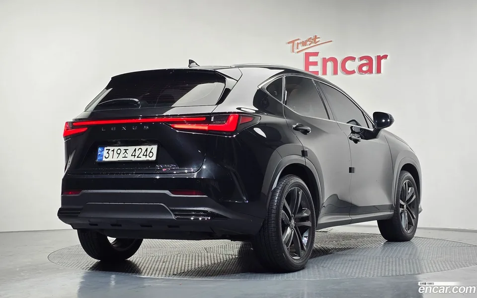 Lexus NX 350h 2023 — миниатюра 2