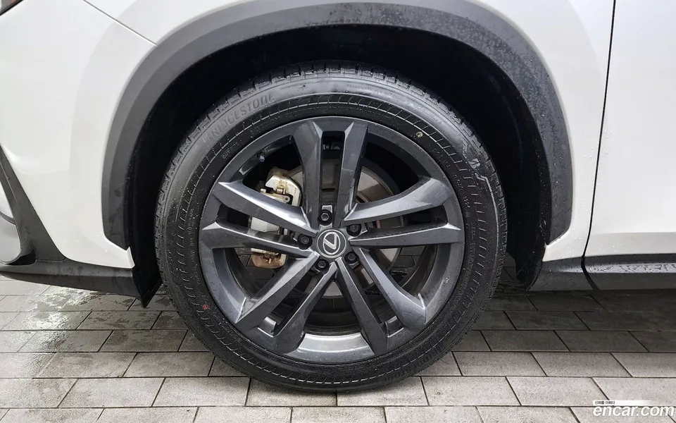 Lexus NX 350h 2024 — миниатюра 5
