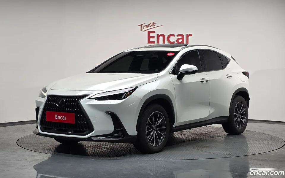 Lexus NX 450h+ 2024 — фото 1, купить с доставкой в Москву
