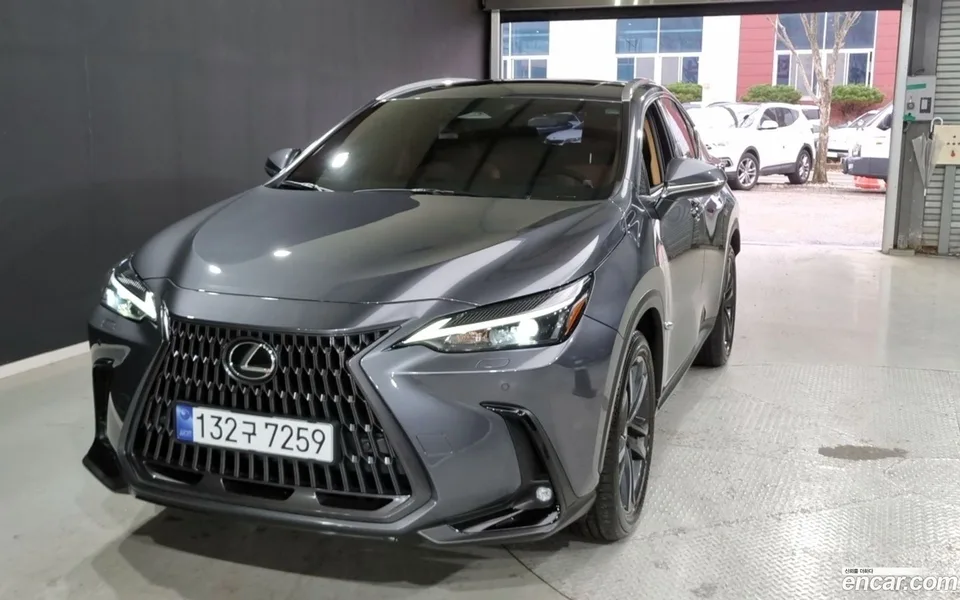 Lexus NX 350h 2023 — миниатюра 2