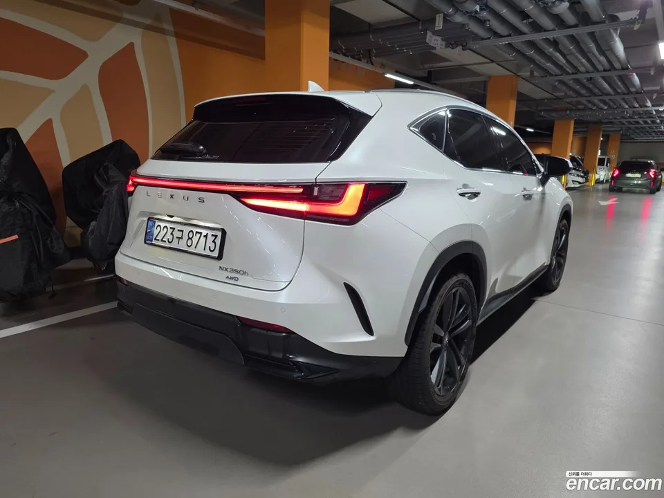 Lexus NX 350h 2024 — миниатюра 2