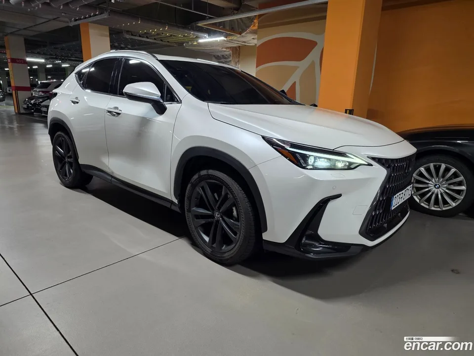 Lexus NX 350h 2024 — миниатюра 5