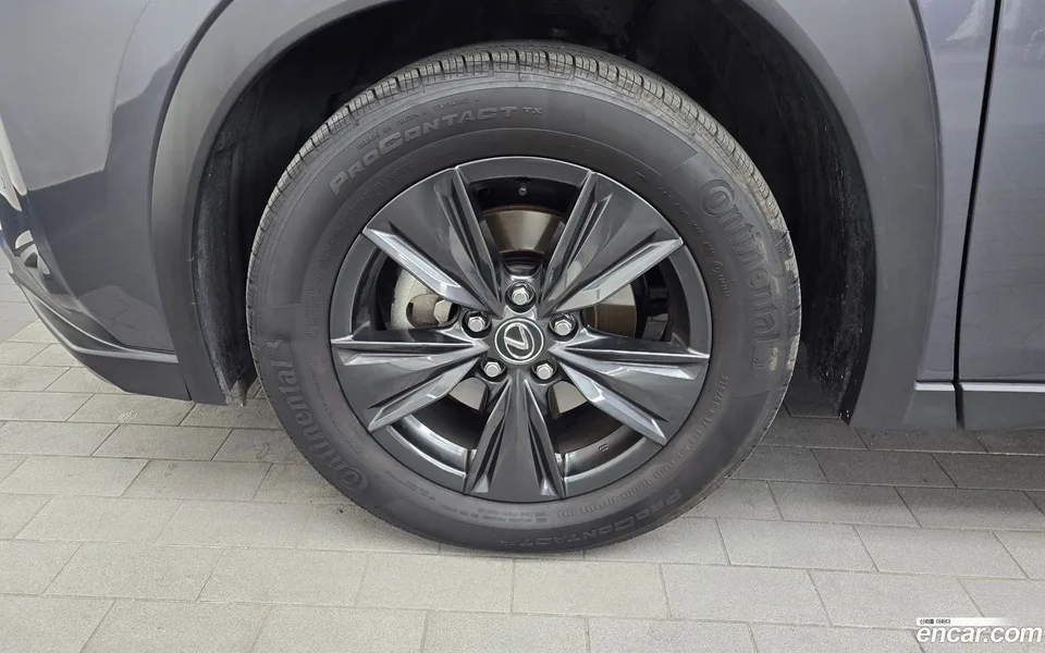 Lexus UX 300h 2.0 2WD 2024 — миниатюра 5