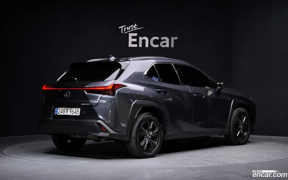 Lexus UX 300h 2.0 2WD 2024 — миниатюра 2