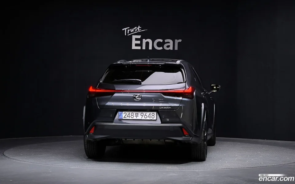 Lexus UX 300h 2.0 2WD 2024 — миниатюра 4