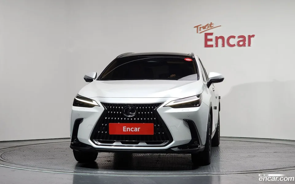 Lexus NX 350h 2024 — миниатюра 3