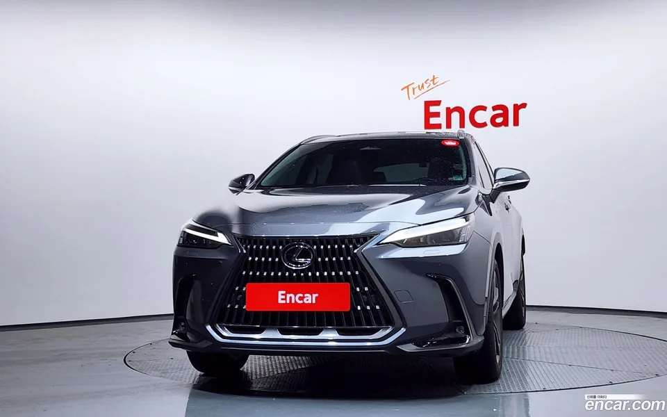 Lexus NX 350h 2024 — миниатюра 2