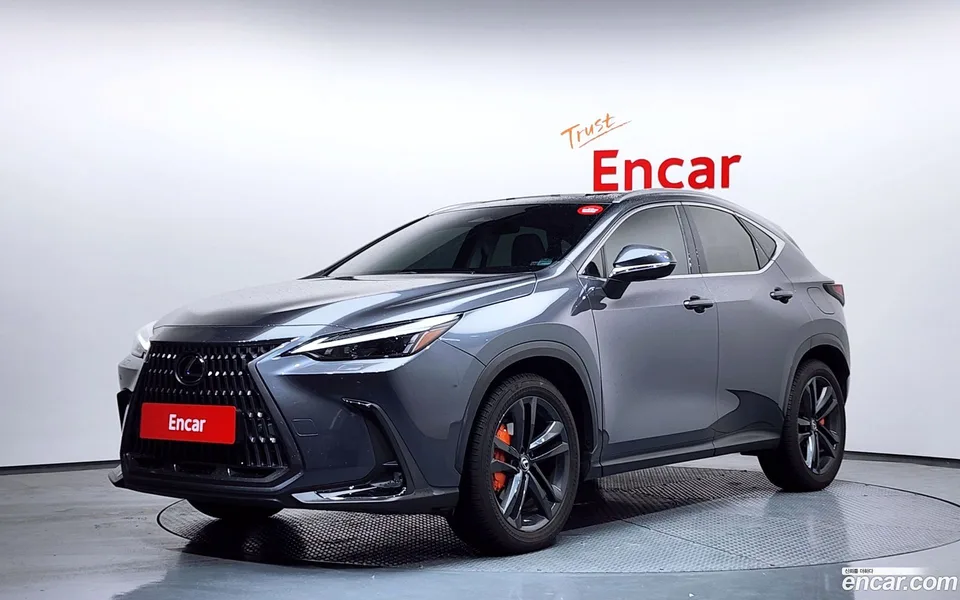 Lexus NX 350h 2024 — фото 1, купить с доставкой в Москву
