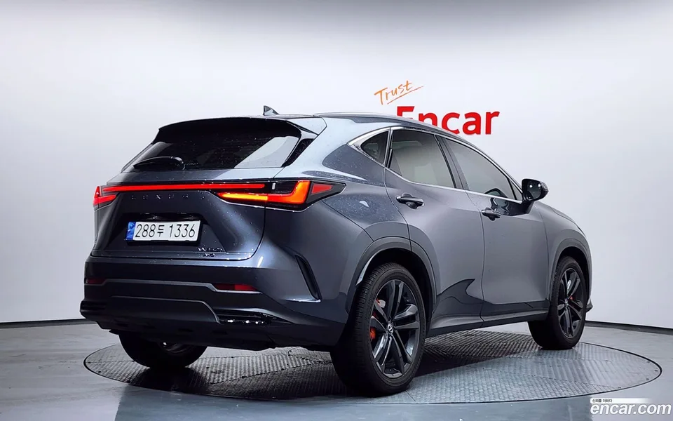 Lexus NX 350h 2024 — миниатюра 2