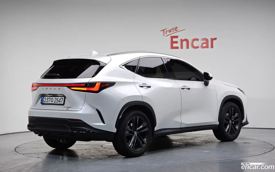 Lexus NX 350h 2024 — миниатюра 2