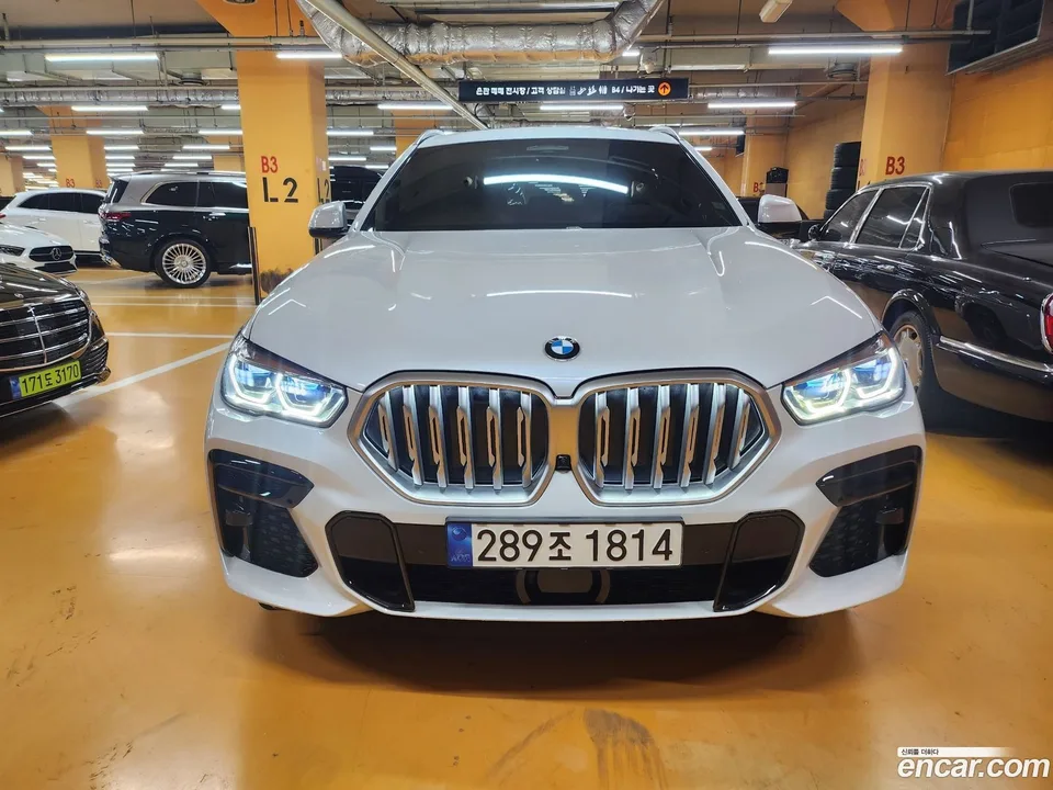 BMW X6 (G06) xDrive30d M 2023 — фото 1, купить с доставкой в Москву