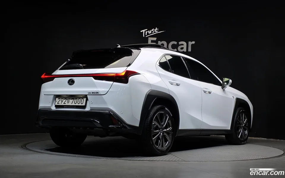 Lexus UX 300h 2.0 F-Sport 2WD 2024 — миниатюра 2