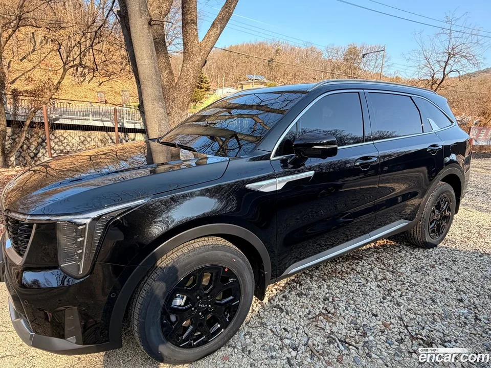 Kia Sorento HEV 1.6 2WD 2025 — миниатюра 2