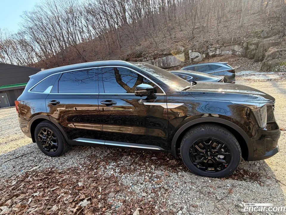 Kia Sorento HEV 1.6 2WD 2025 — миниатюра 5