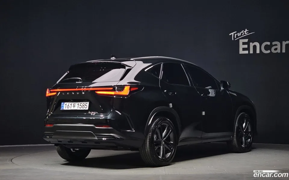 Lexus NX 350h 2024 — миниатюра 2