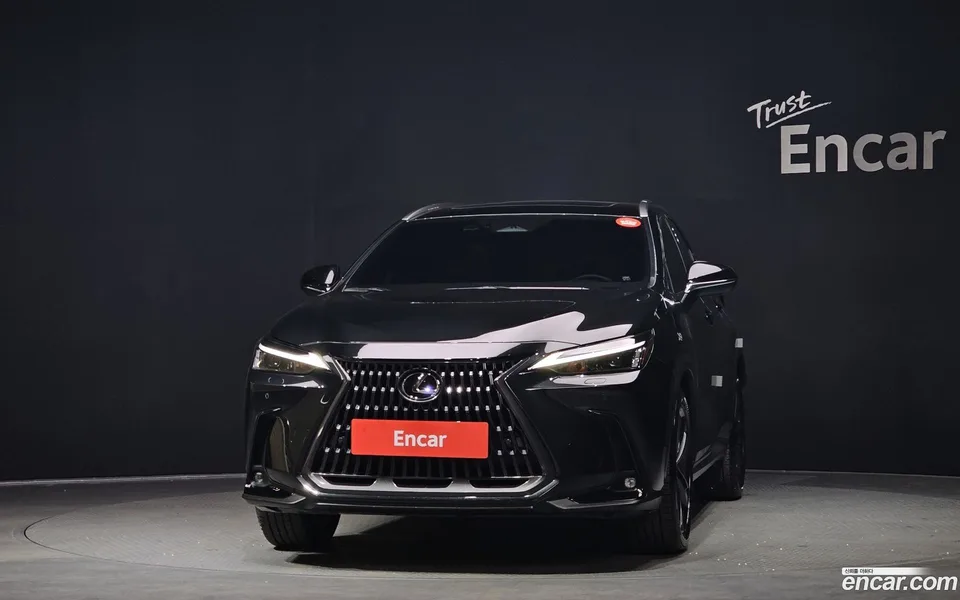 Lexus NX 350h 2024 — миниатюра 3