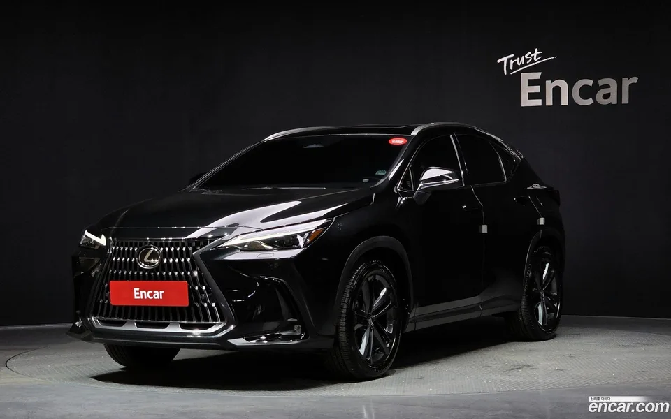 Lexus NX 350h 2024 — фото 1, купить с доставкой в Москву
