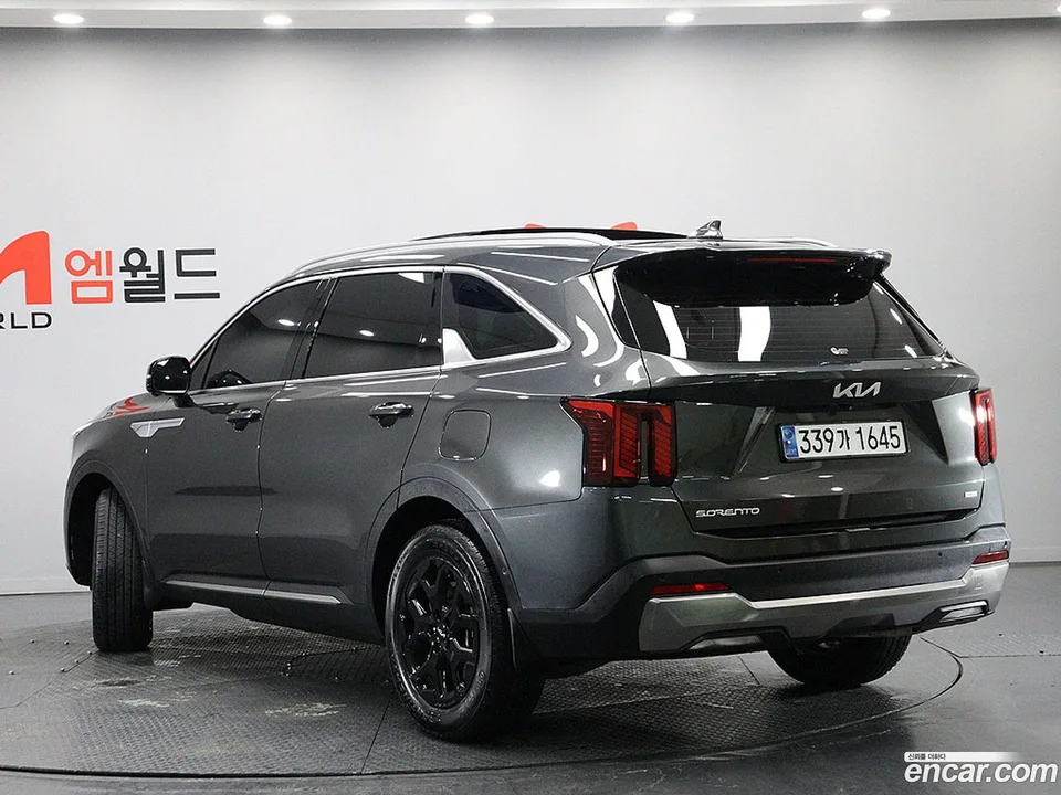 Kia Sorento HEV 1.6 2WD 2024 — миниатюра 4
