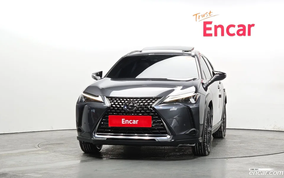 Lexus UX 250h 2.0 2WD 2023 — миниатюра 3