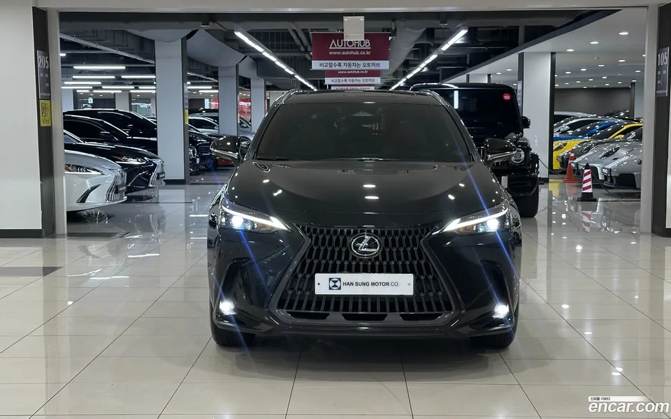 Lexus NX 450h+ 2024 — миниатюра 2
