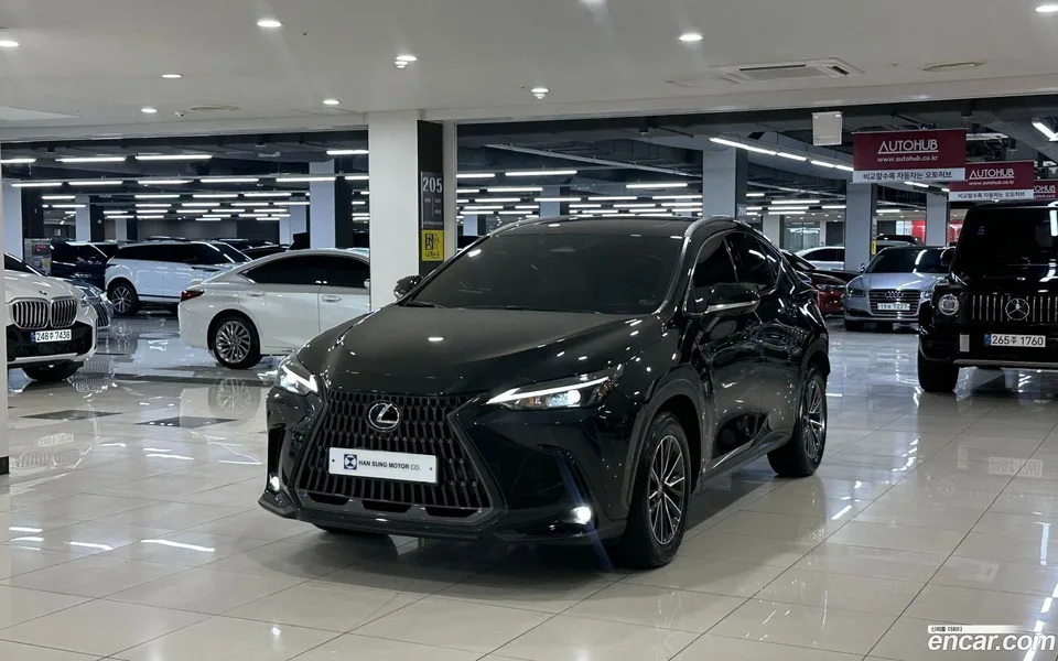 Lexus NX 450h+ 2024 — фото 1, купить с доставкой в Москву