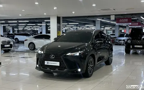 Lexus NX 450h+ 2024 купить в Москве