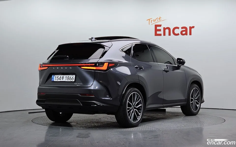 Lexus NX 350h 2024 — миниатюра 2