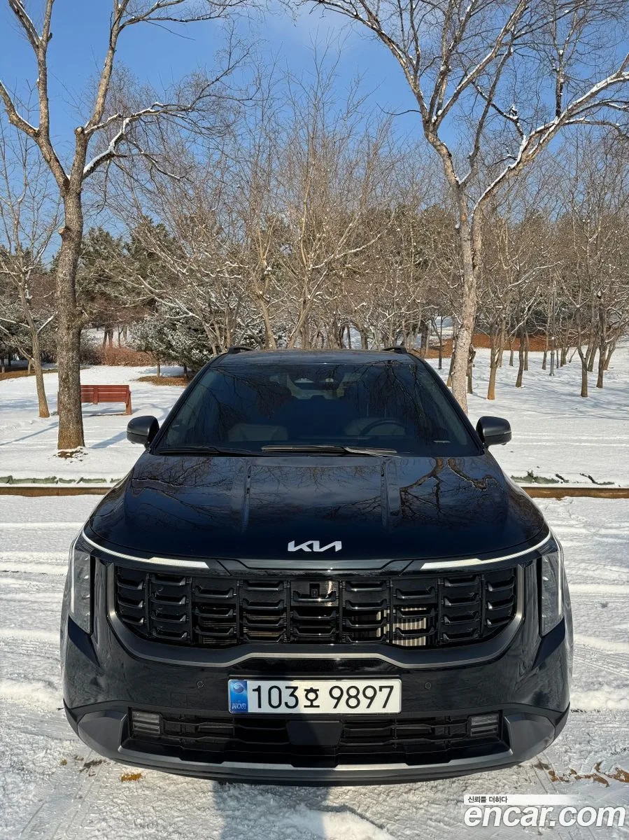 Kia Carnival HEV 9 2024 — фото 1, купить с доставкой в Москву
