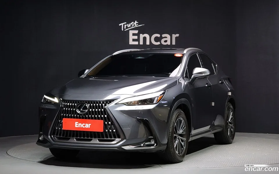 Lexus NX 450h+ 2024 — фото 1, купить с доставкой в Москву